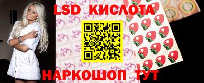 spice Берёзовский