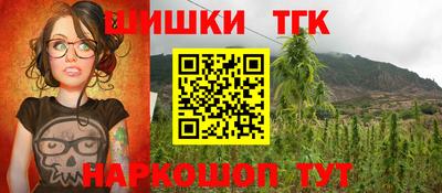 apvp Бийск