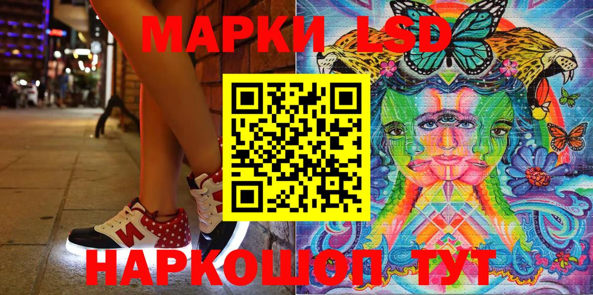 МЕФ Кинель