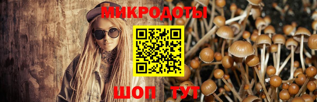 Кинель  Галлюциногенные грибы MAGIC MUSHROOMS  Вход с VPN 